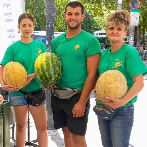 Стопанство Габровски