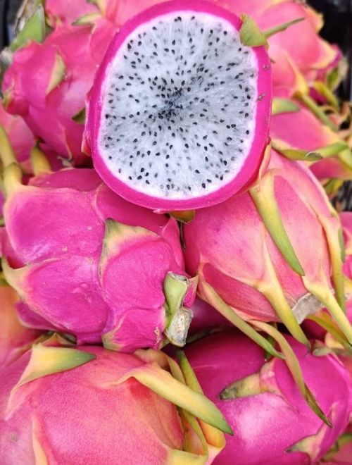 Драконов плод, розов