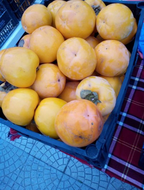 Райски ябълки, сорт Jiro