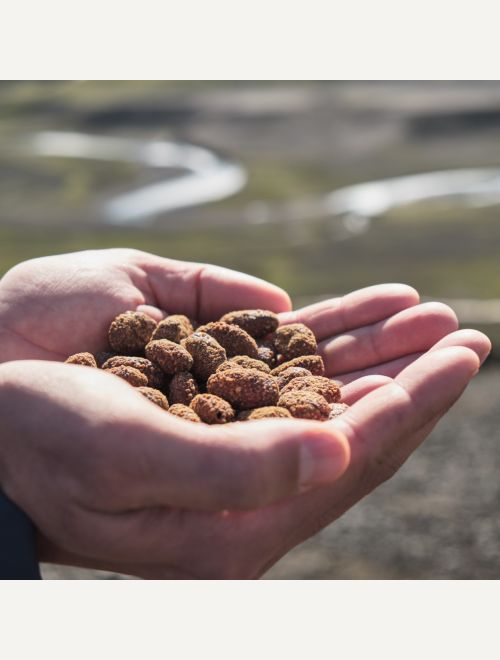 Печени какаови зърна с портокал, канела и индийско орехче
