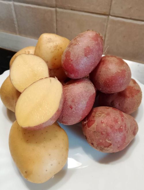 Картофи, червени