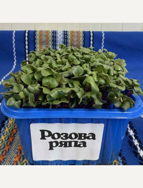 Микрорастения от Розова ряпа