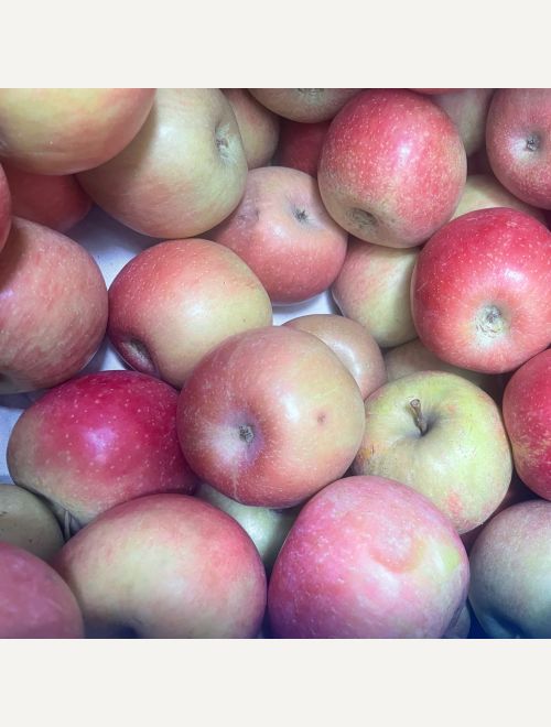 Ябълки, сорт Фуджи