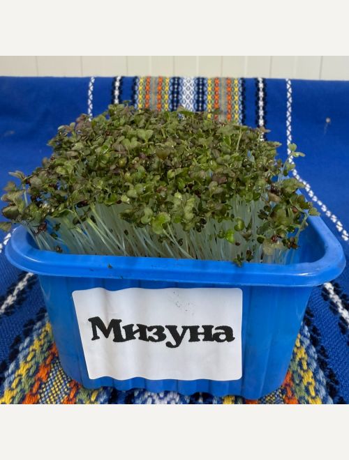 Микрорастения от Мизуна