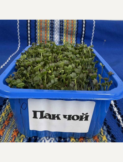 Микрорастения от Пак Чой