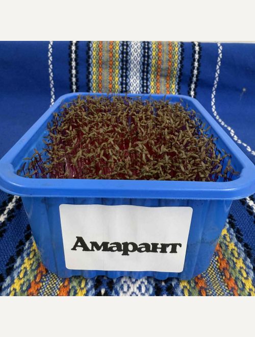 Микрорастения от Амарант