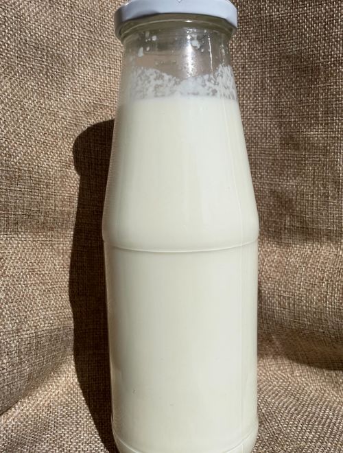 Прясно мляко, овче