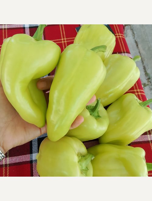 Чушки за пълнене