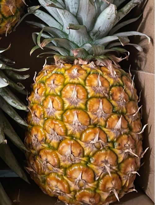 Ананас