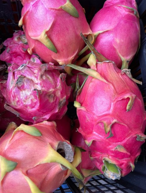 Драконов плод, розов