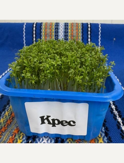 Микрорастения от Крес