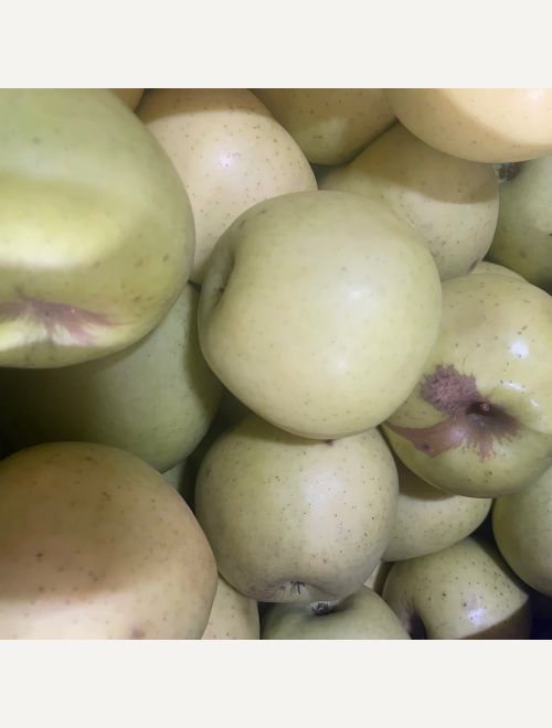 Ябълки, сорт Златна превъзходна