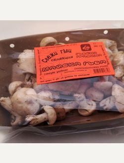 Селекция Майска гъба