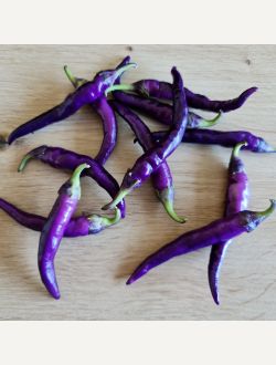Люти чушки, сорт Pimientos de Padron