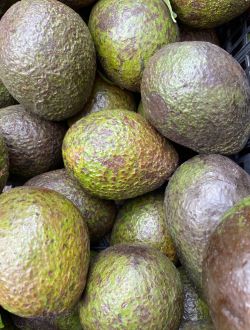 Авокадо, сорт Hass