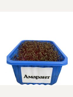 Микрорастения от Амарант