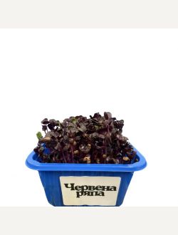 Микрорастения от Червена ряпа