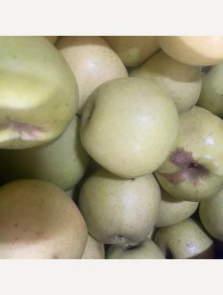 Ябълки, сорт Златна превъзходна